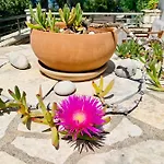 Casa vacanze Isabella Paxos Holidays