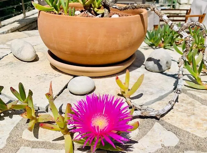 Casa de Férias Isabella Paxos Holidays