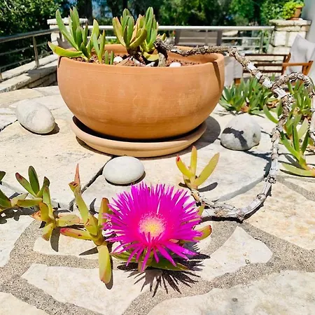 Holiday home Isabella Paxos Holidays