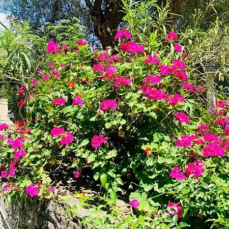 Isabella Paxos Holidays Holiday home
