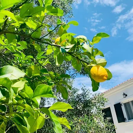 Holiday home Isabella Paxos Holidays *